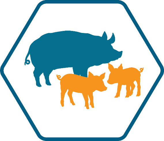 symbol for swine